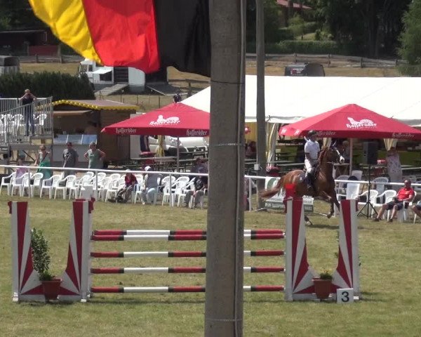 Reitturnier Allrode 2018