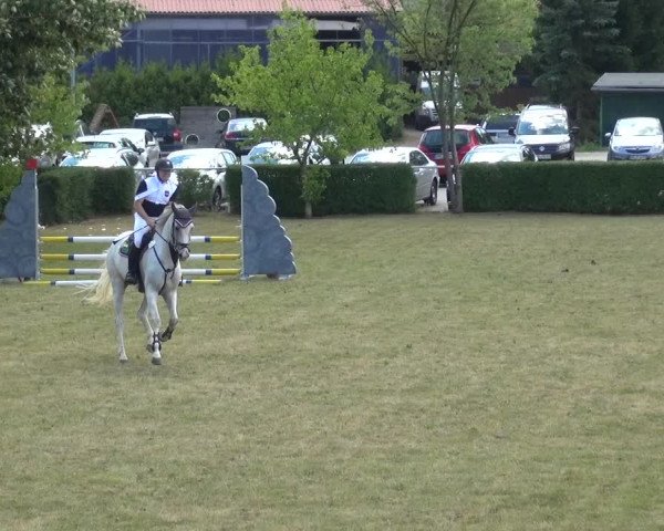 Reitturnier Allrode 2018