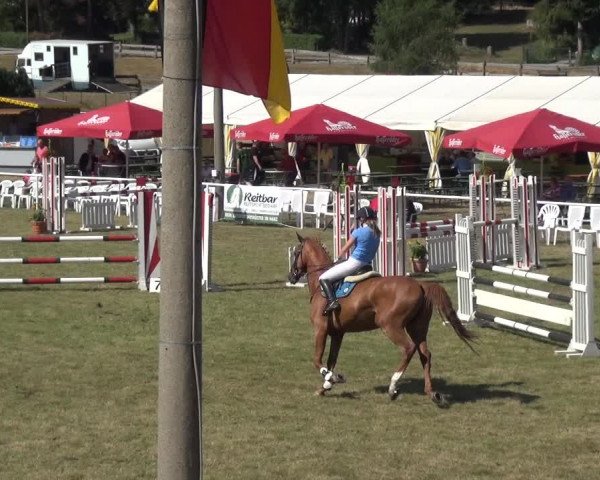 Reitturnier Allrode 2018