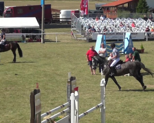Reitturnier Allrode 2018