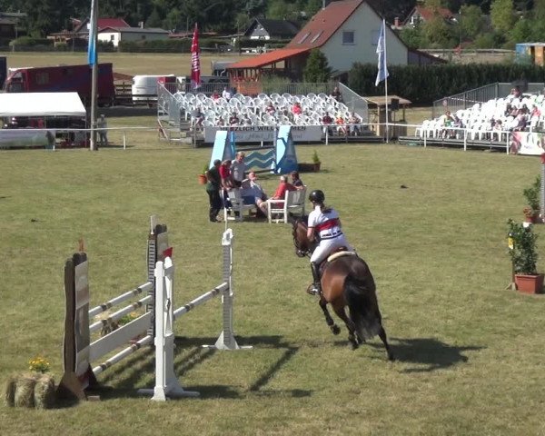 Reitturnier Allrode 2018