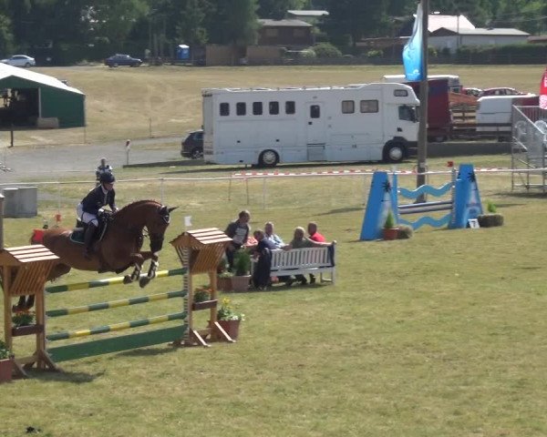 Reitturnier Allrode 2018