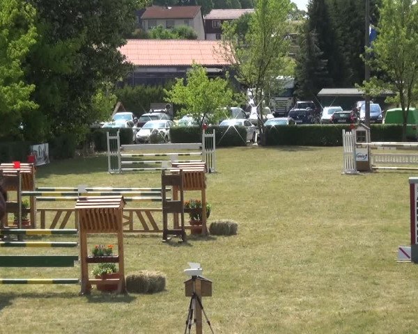 Reitturnier Allrode 2018