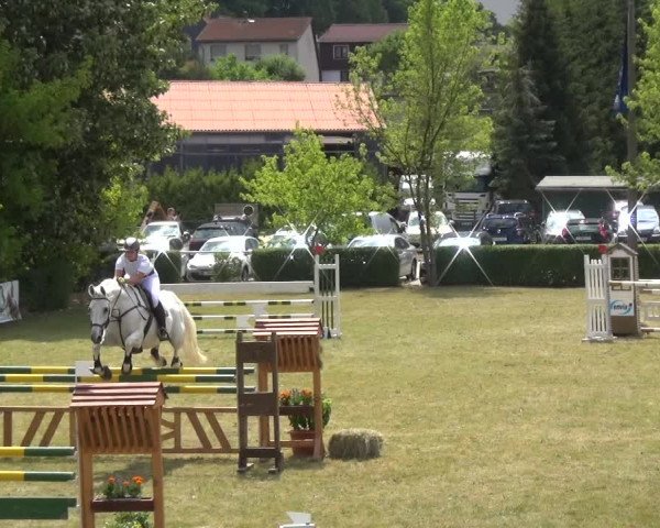 Reitturnier Allrode 2018