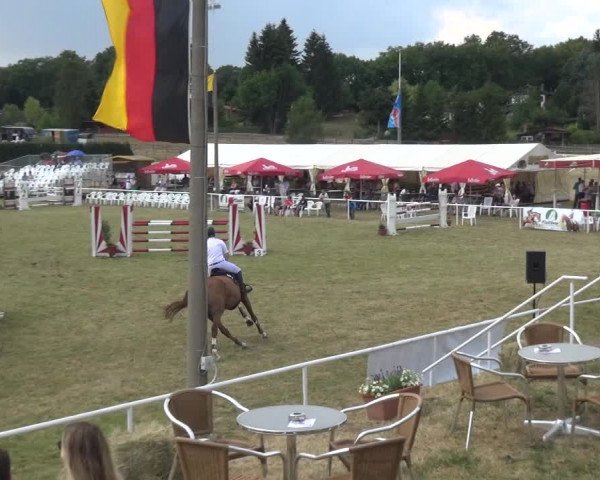 Reitturnier Allrode 2018