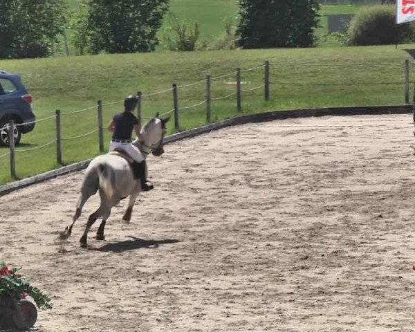 Sommerspringen Turbenthal 2018