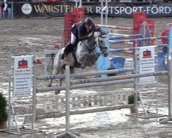 jumper Ca Ira 2 (Westphalian, 2010, from Congress)