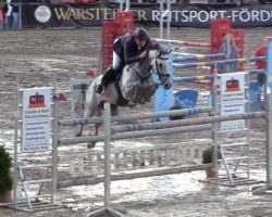 Springpferd Ca Ira 2 (Westfale, 2010, von Congress)
