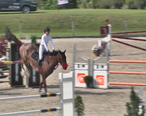 Sommerspringen Turbenthal 2018