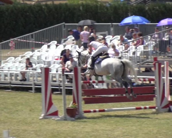 Reitturnier Allrode 2018