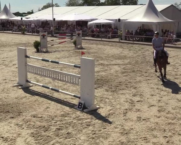 Reitturnier Wietmarschen 2018