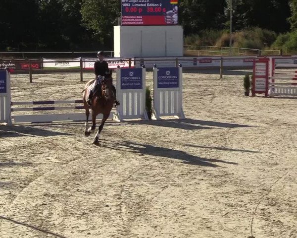 Reitturnier Wietmarschen 2018