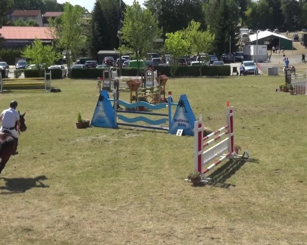Reitturnier Allrode 2018