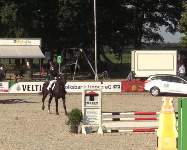 Reitturnier Wietmarschen 2018