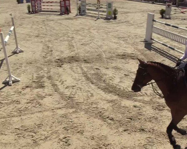 Reitturnier Wietmarschen 2018