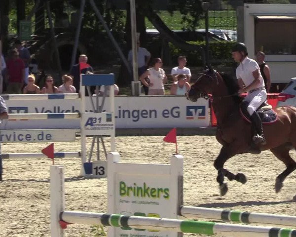 Reitturnier Wietmarschen 2018