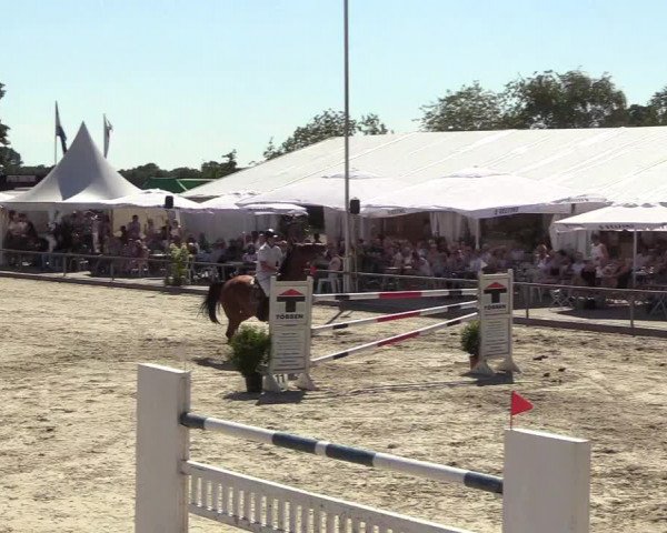 Reitturnier Wietmarschen 2018