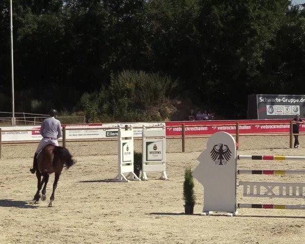 Reitturnier Wietmarschen 2018