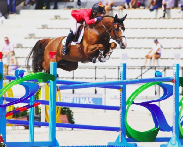 jumper Jugano van de Vosberg (Belgian Warmblood, 2009, from Ogano Sitte)