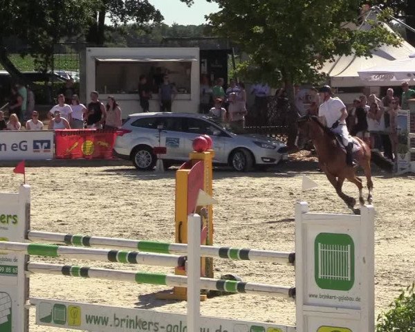 Reitturnier Wietmarschen 2018