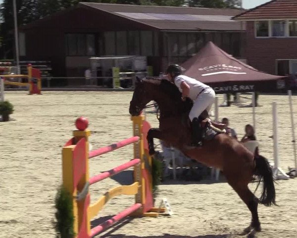 Reitturnier Wietmarschen 2018