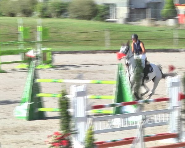Sommerspringen Turbenthal 2018