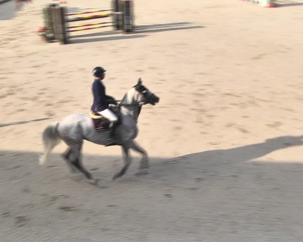 Sommerspringen Turbenthal 2018