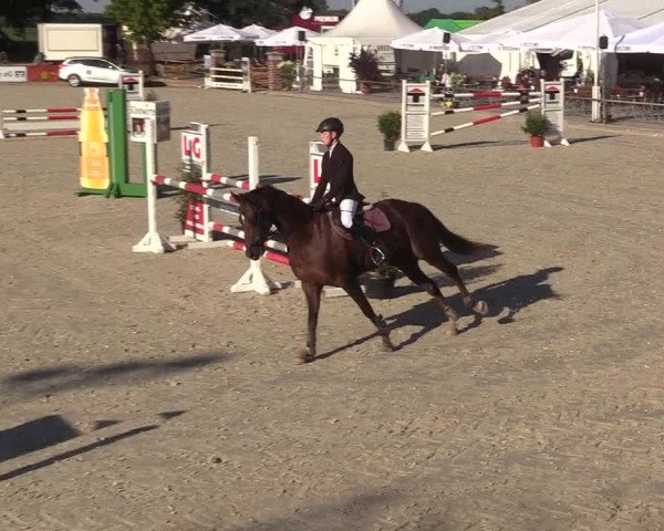 Reitturnier Wietmarschen 2018