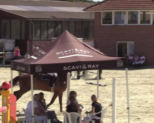 Reitturnier Wietmarschen 2018