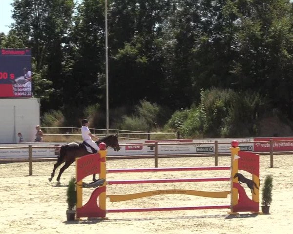 Reitturnier Wietmarschen 2018
