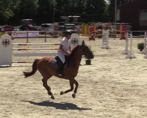 Reitturnier Wietmarschen 2018