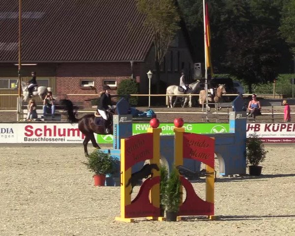Reitturnier Wietmarschen 2018