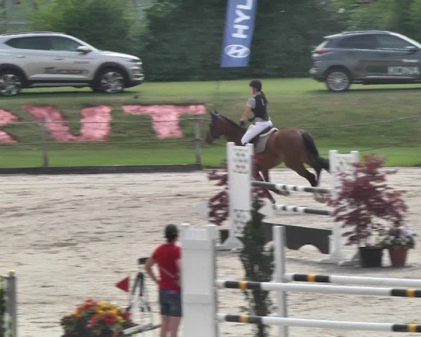 Sommerspringen Turbenthal 2018