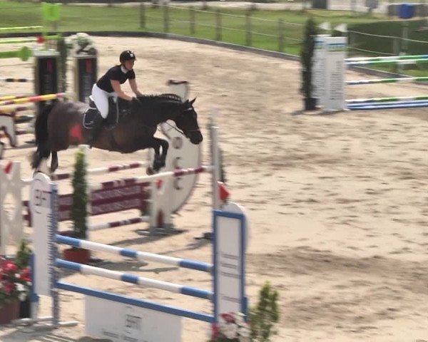 Sommerspringen Turbenthal 2018