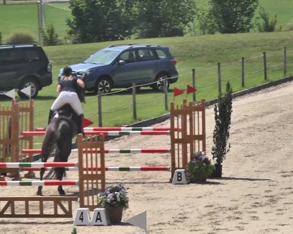 Sommerspringen Turbenthal 2018