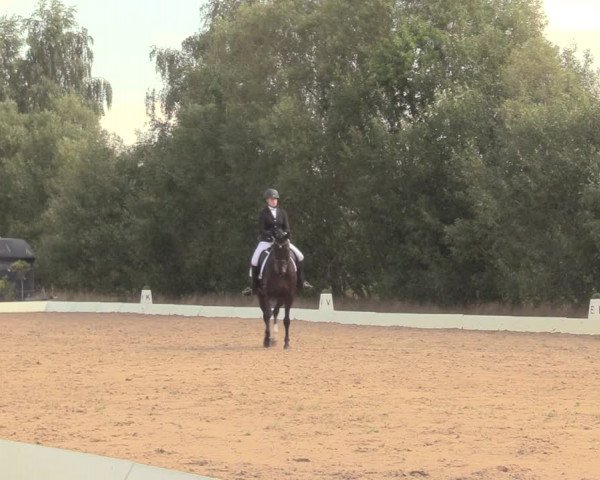 Reitturnier Wietmarschen 2018
