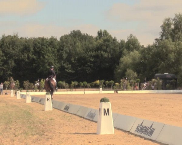 Reitturnier Wietmarschen 2018