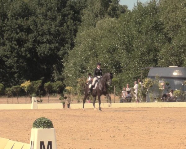 Reitturnier Wietmarschen 2018