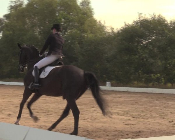 Reitturnier Wietmarschen 2018