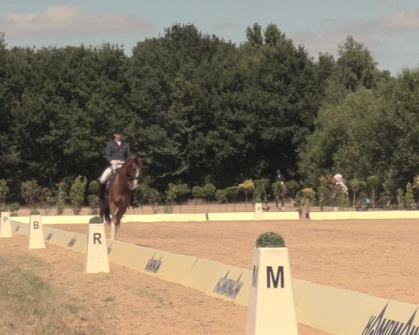 Reitturnier Wietmarschen 2018