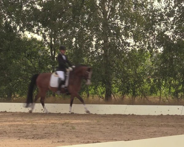 Reitturnier Wietmarschen 2018