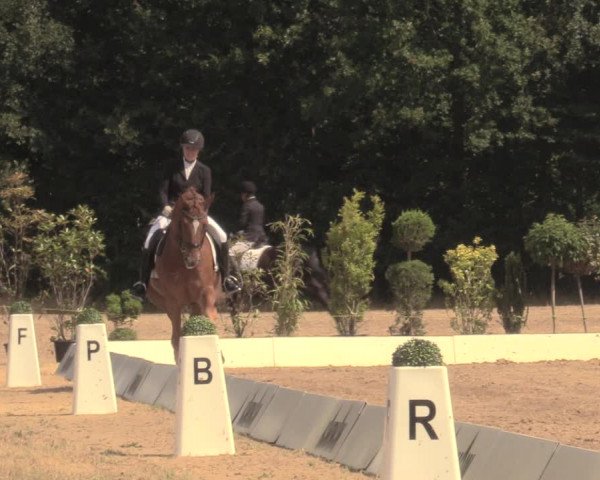 Reitturnier Wietmarschen 2018