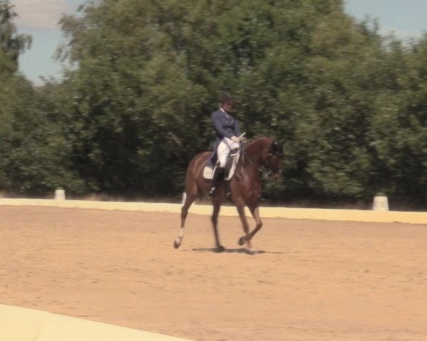 Reitturnier Wietmarschen 2018
