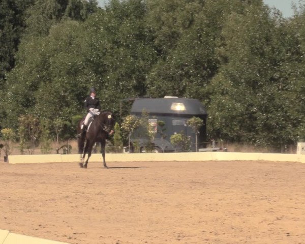 Reitturnier Wietmarschen 2018