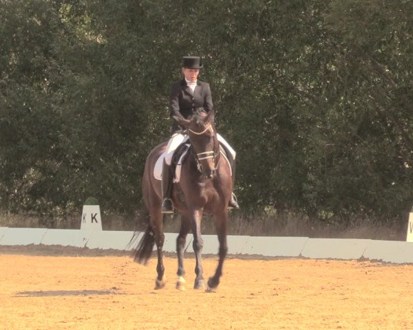 Reitturnier Wietmarschen 2018