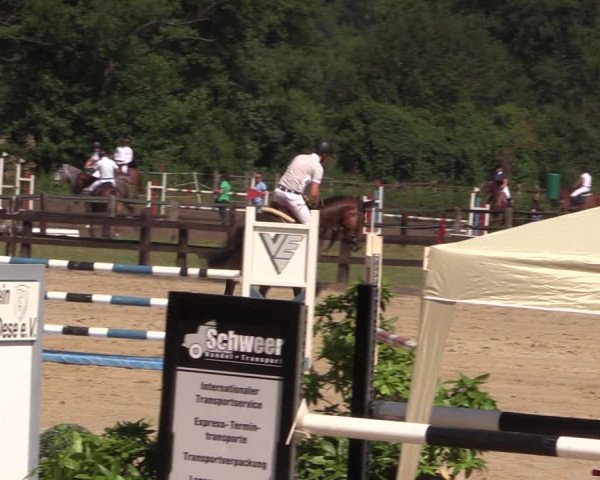 Reitturnier Hemer-Oese an der Edelburg 2018