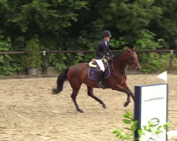 Reitturnier Marienheide-Kempershöhe 2018