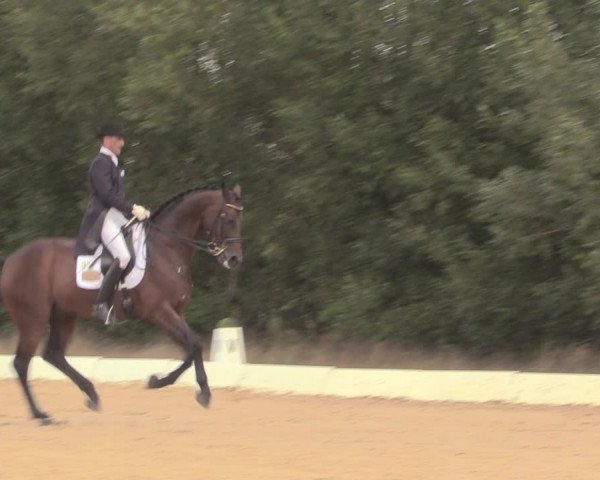 Reitturnier Wietmarschen 2018