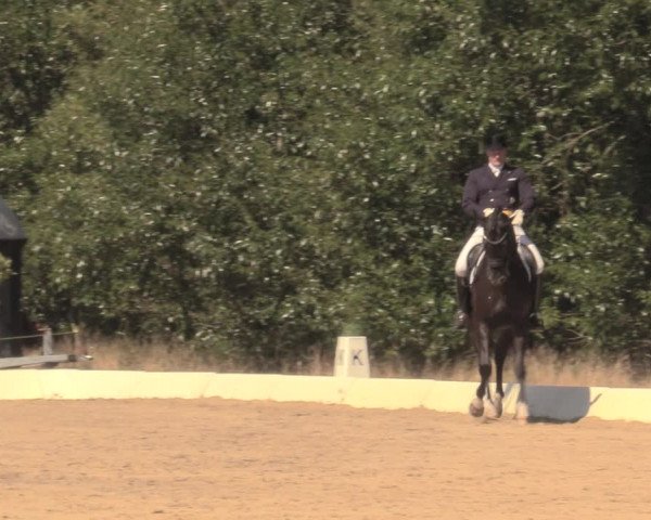 Reitturnier Wietmarschen 2018