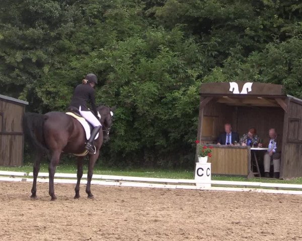 Reitturnier Vlotho-Exter 2018